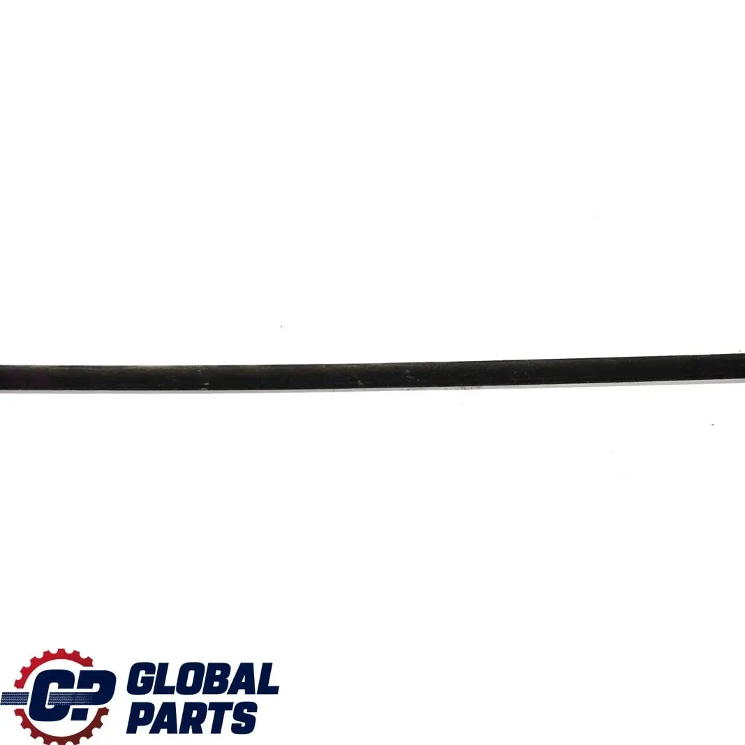BMW 7 Series E66 E67 Rear Right Door O/S Outer Weatherstrip Chrome - SKU 7010900 - Part number 7010900