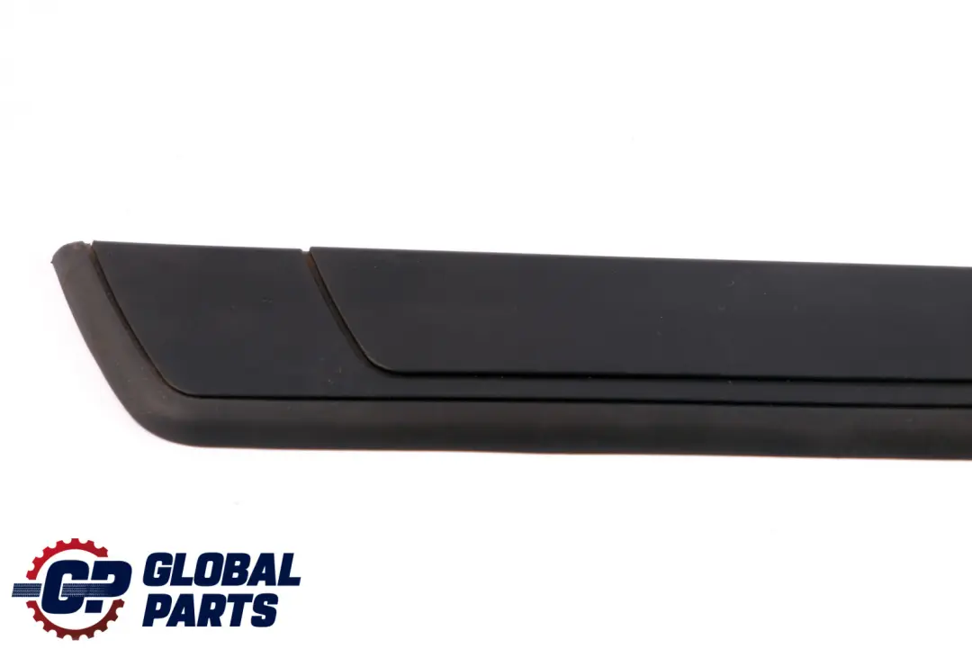 BMW Z4 E89 Abdeckleiste Eingang Innenraum Links Schwarz - SKU 7016653 - Teilenummer 7016653