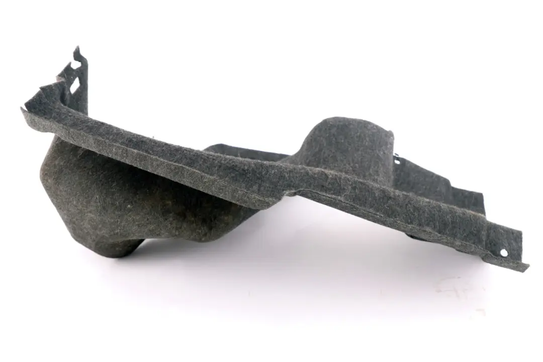 Carenatura Portabagagli SX per BMW Z4 E85 con numero di parte 7016683 BMW Z4 E85 Carenatura Portabagagli SX - SKU 7016683 - Numero di parte 7016683