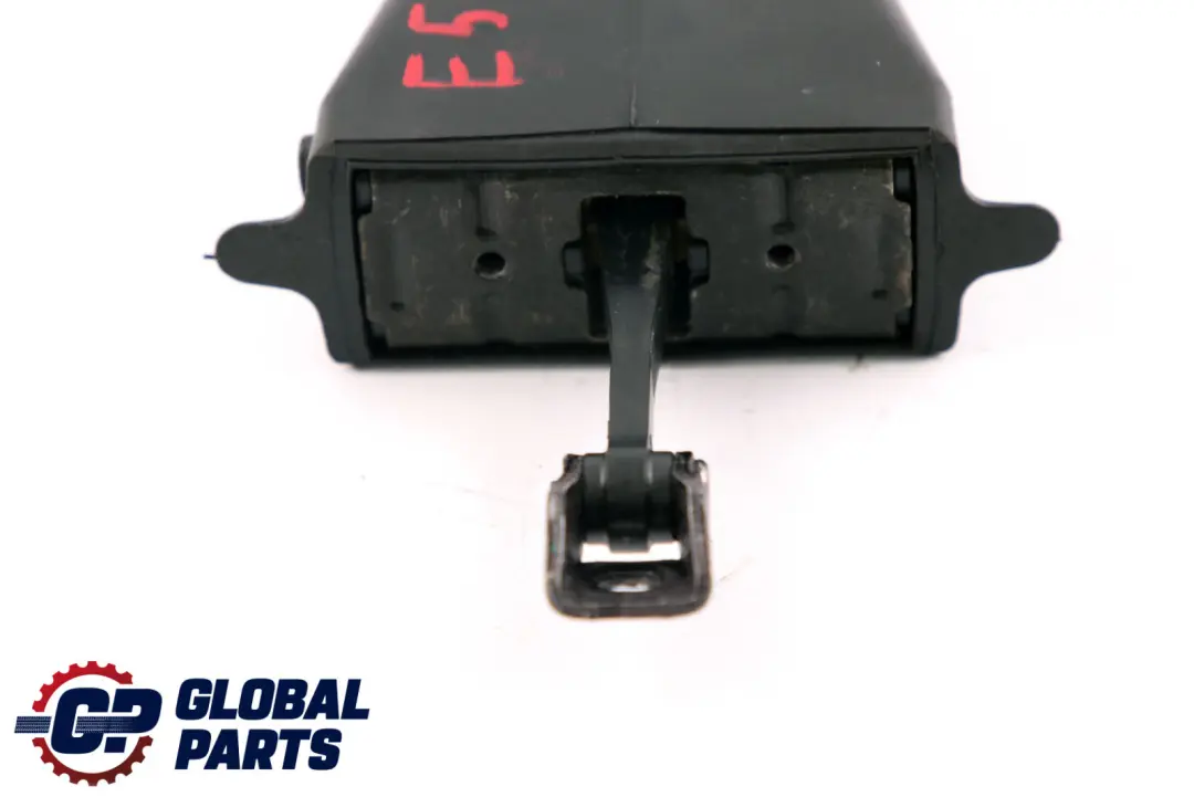 Puerta Trasera Freno Comprobacion Correa Ojal N/ para BMW E53 con número de pieza 7018896 BMW E53 Puerta Trasera Freno Comprobacion Correa Ojal N/ - SKU 7018896 - Número de pieza 7018896