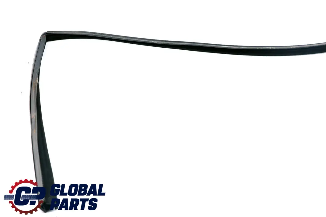 Fensterführung vorne links 5132 für BMW X5 er E53 mit Teilenummer 7020577 BMW X5 er E53 Fensterführung vorne links 5132 - SKU 7020577 - Teilenummer 7020577