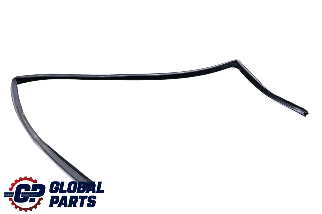 BMW X5 E53 Binario Finestra Anteriore Sinistra 5132 - SKU 7020577 - Numero di parte 7020577