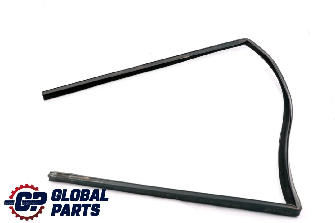 Binario Finestra Anteriore Sinistra 5132 per BMW X5 E53 con numero di parte 7020577 BMW X5 E53 Binario Finestra Anteriore Sinistra 5132 - SKU 7020577 - Numero di parte 7020577