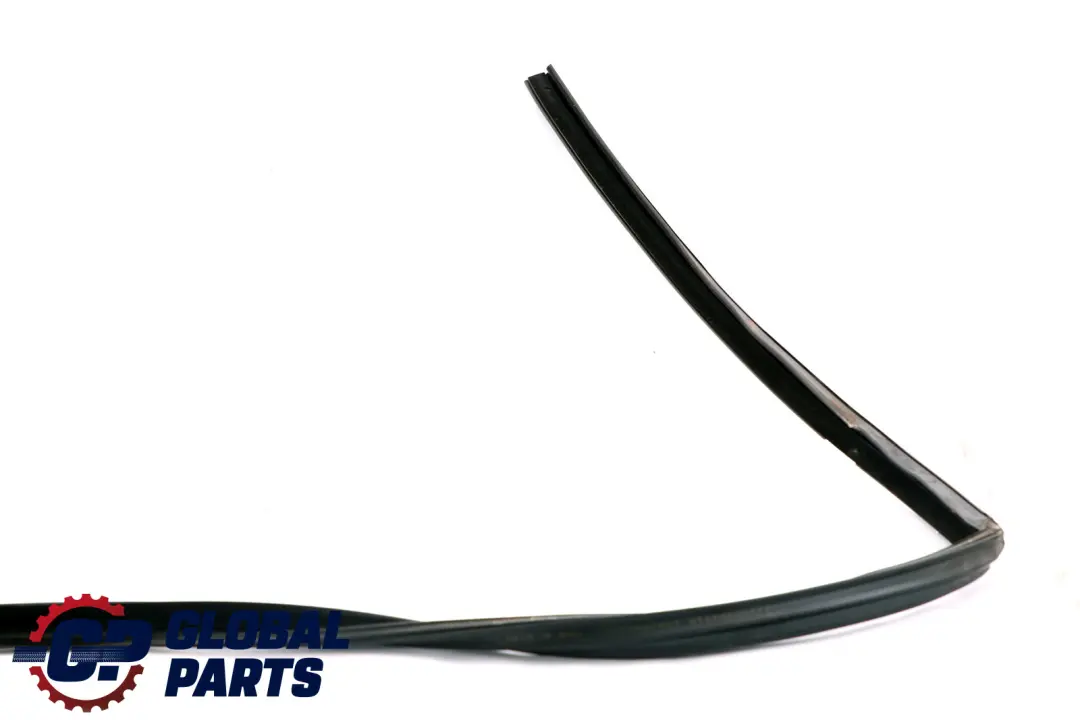 Front Left Window Guide Seal N/S 5132 to BMW X5 Series E53 with Part number 7020577 BMW X5 Series E53 Front Left Window Guide Seal N/S 5132 - SKU 7020577 - Part number 7020577