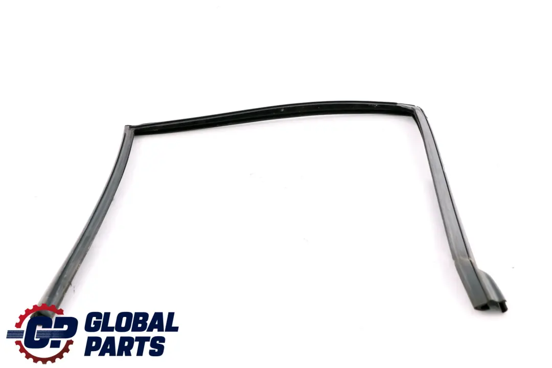 BMW X5 E53 trasera izquierda ventana guia puerta goma - SKU 7020583 - Número de pieza 7020583