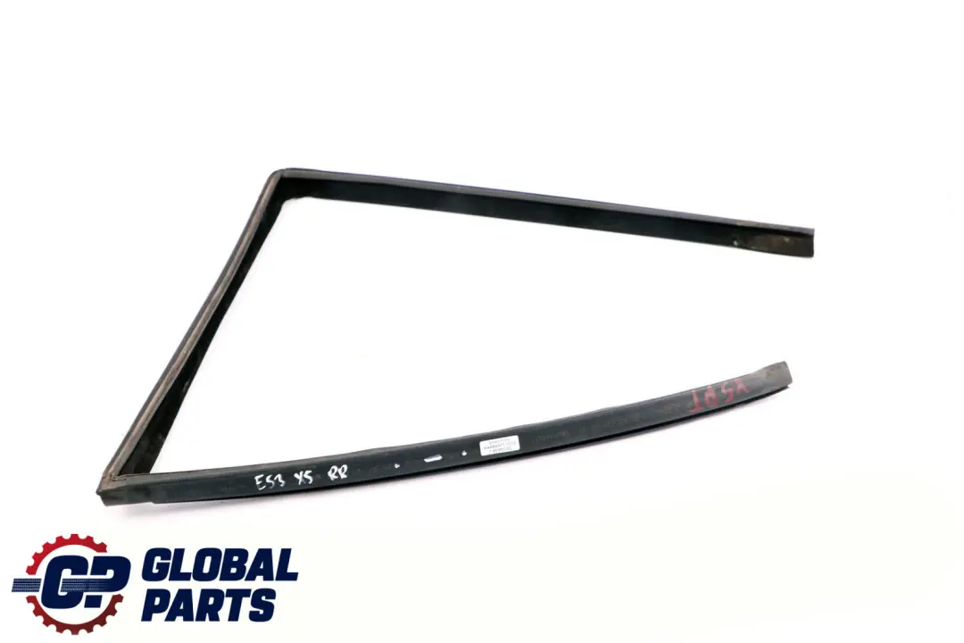 BMW X5 er E53 Fensterführung Hinten Rechts O/S 5135 - SKU 7020584 - Teilenummer 7020584