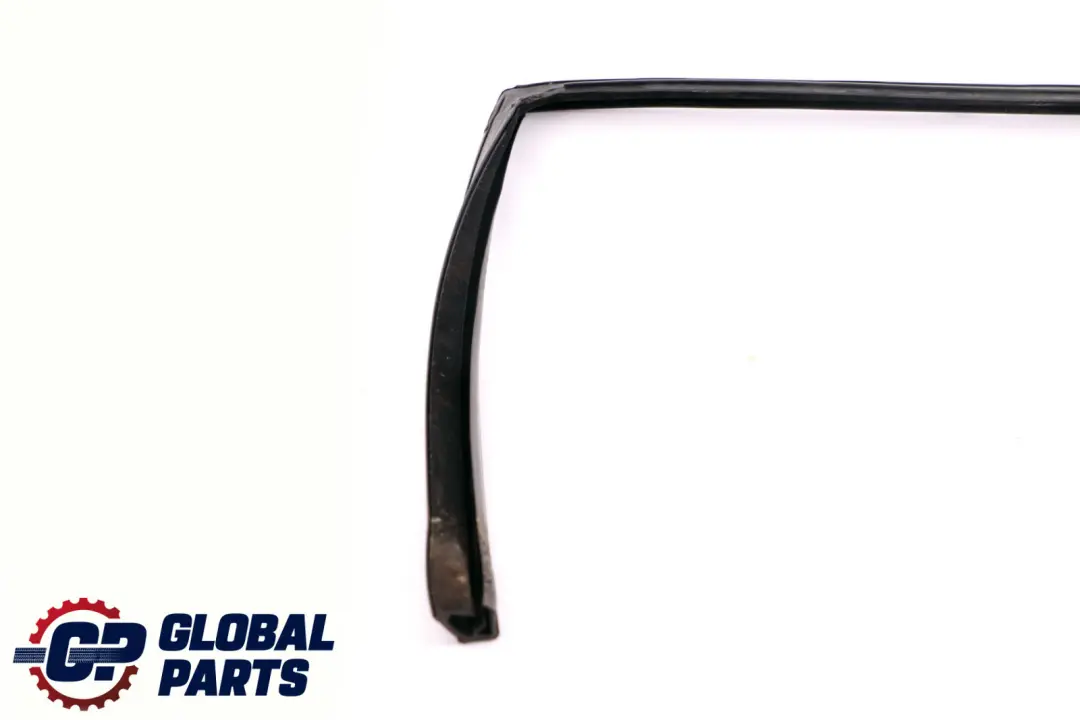 BMW X5 er E53 Fensterführung Hinten Rechts O/S 5135 - SKU 7020584 - Teilenummer 7020584