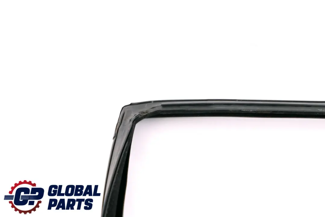 BMW X5 er E53 Fensterführung Hinten Rechts O/S 5135 - SKU 7020584 - Teilenummer 7020584