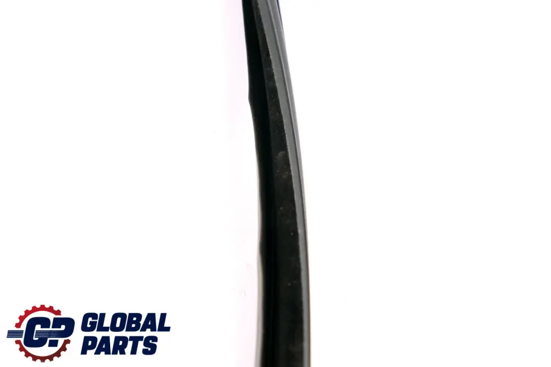 Fensterführung Hinten Rechts O/S 5135 für BMW X5 er E53 mit Teilenummer 7020584 BMW X5 er E53 Fensterführung Hinten Rechts O/S 5135 - SKU 7020584 - Teilenummer 7020584