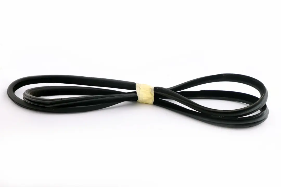 BMW X5 E53 Joint d'étanchéité de porte avant Protection des bords gauche droite - SKU 7025579 - Numéro de pièce 7025579