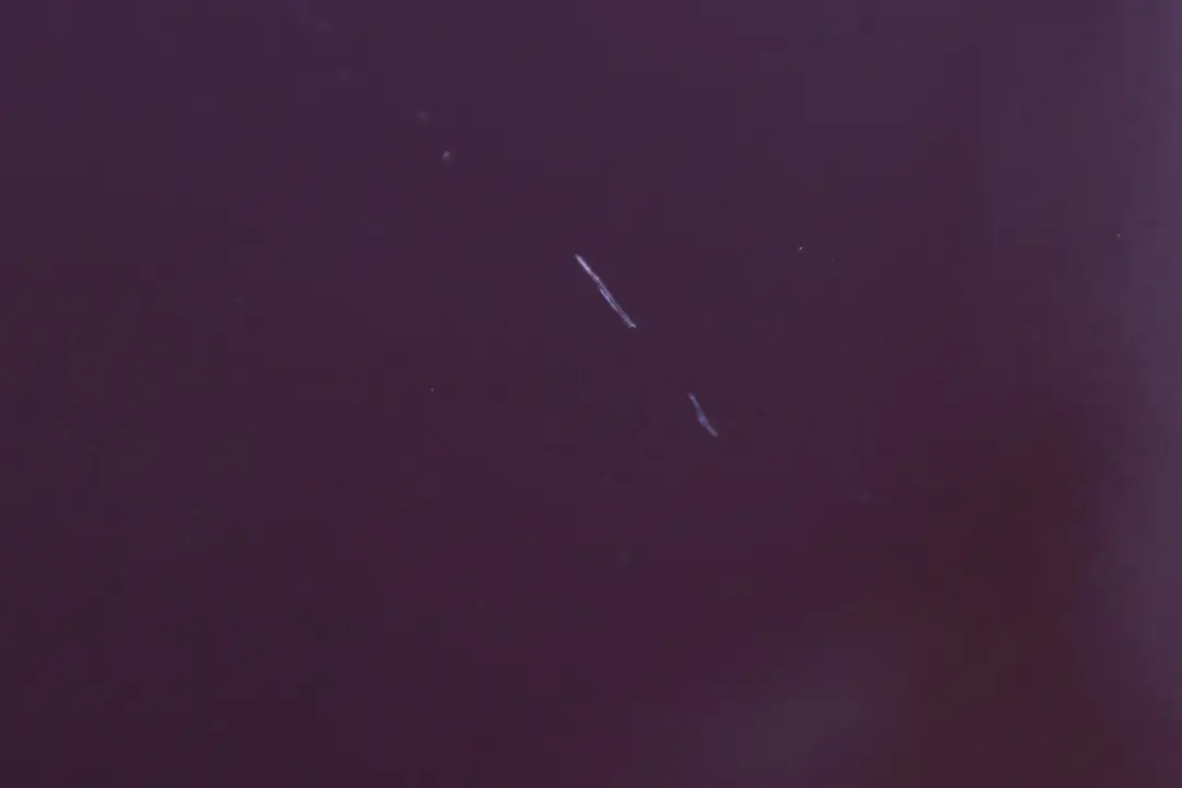 Spoiler Upper Mahagoni Metallic to BMW X5 Series E53 Rear with Part number 7025612 BMW X5 Series E53 Rear Spoiler Upper Mahagoni Metallic - SKU 7025612-MAH - Part number 7025612