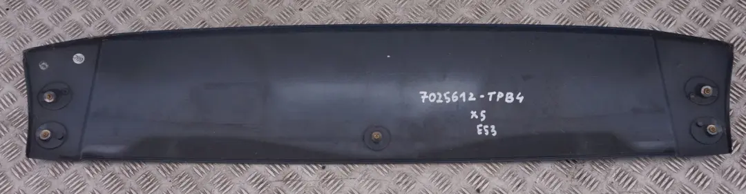 BMW X5 Series E53 4 Rear Spoiler Upper Topasblau Blue Blau Metallic - 364 - SKU 7025612-TPB4 - Part number 51717025612