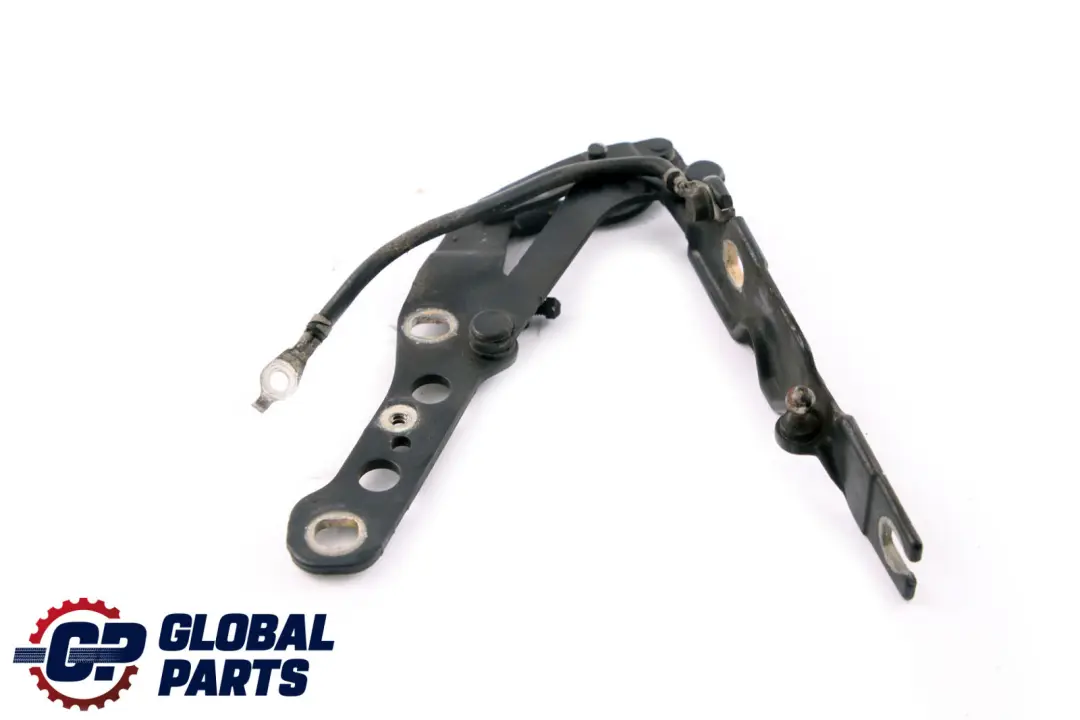 Cardine Lembo Anteriore SX Black Sapphire Metallizzato per BMW E46 con numero di parte 7028577 BMW E46 Cardine Lembo Anteriore SX Black Sapphire Metallizzato - SKU 7028577-BS - Numero di parte 7028577