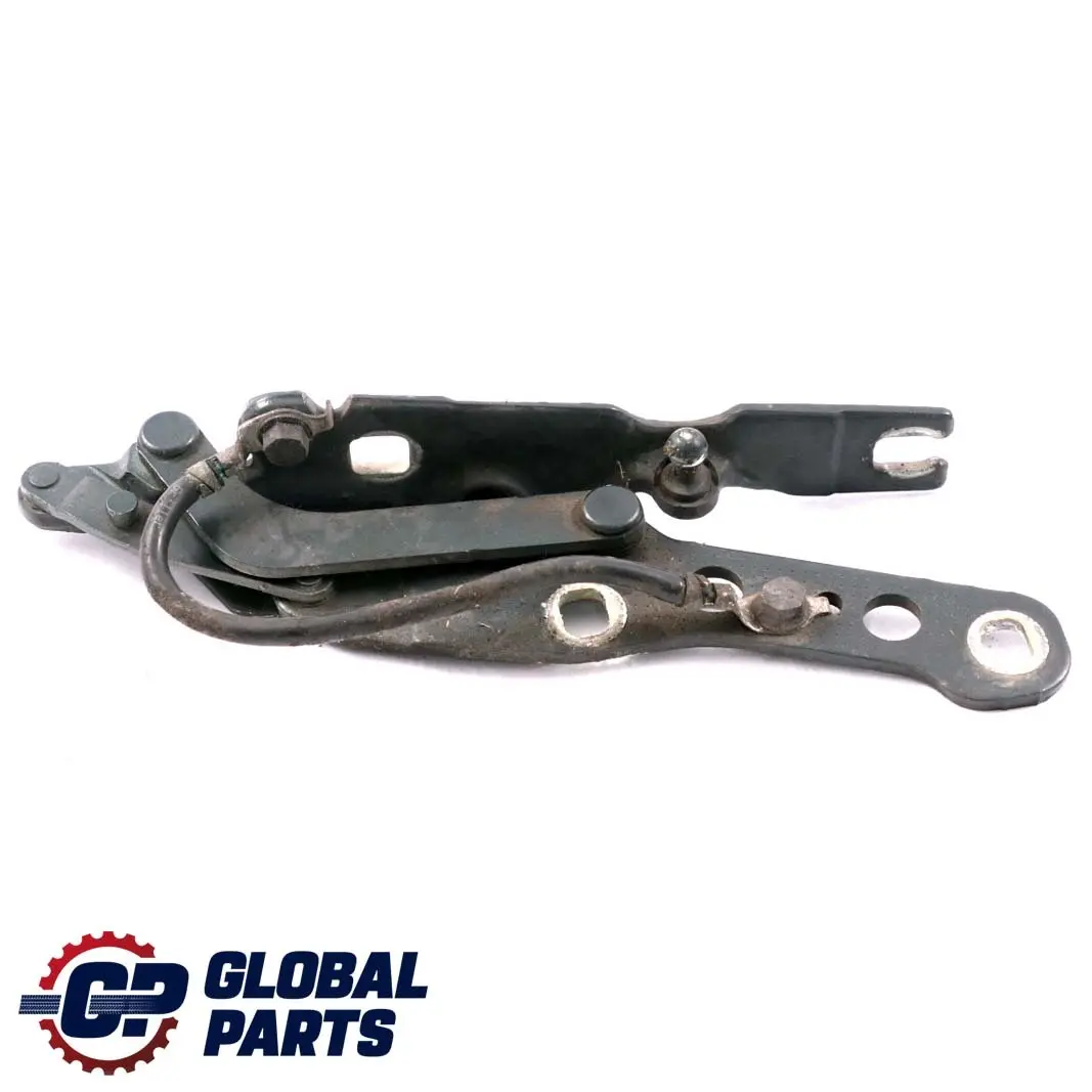 BMW E46 Charniere Rabat a Gauche Vert Oxford Vert Metallique - 430 - SKU 7028577-OXF - Numéro de pièce 7028577