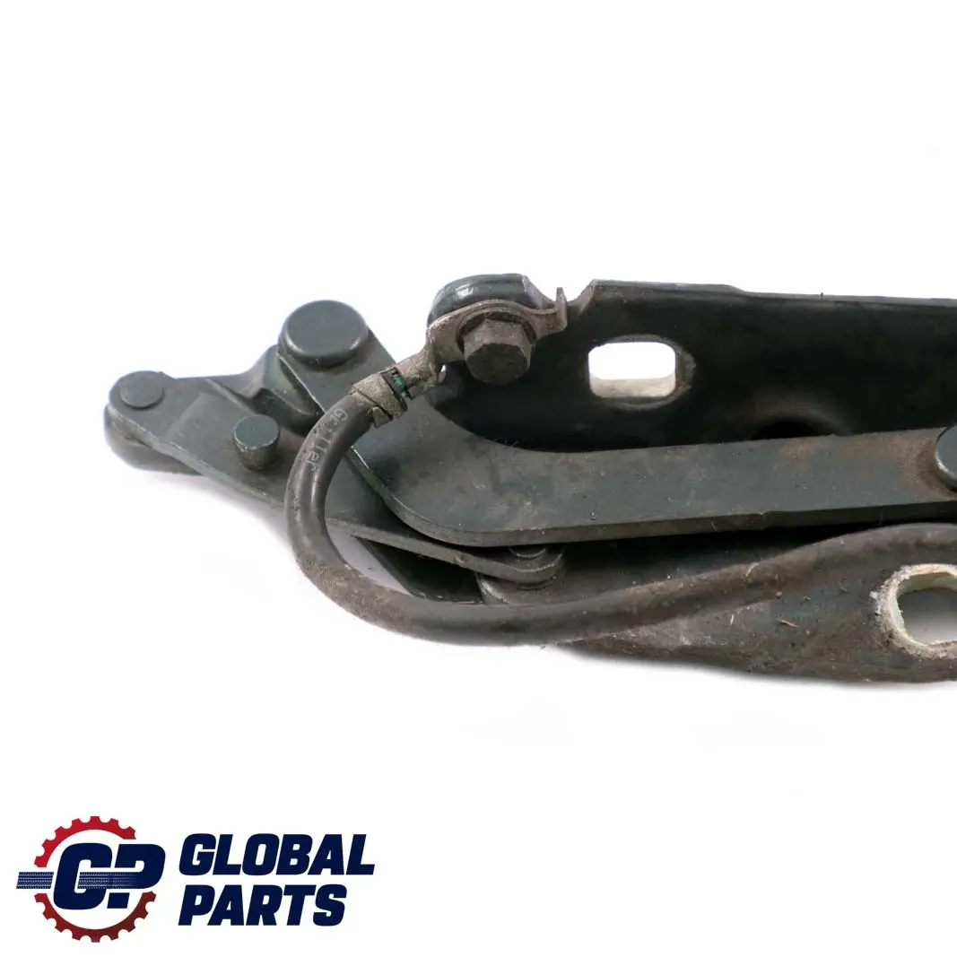 BMW E46 Charniere Rabat a Gauche Vert Oxford Vert Metallique - 430 - SKU 7028577-OXF - Numéro de pièce 7028577