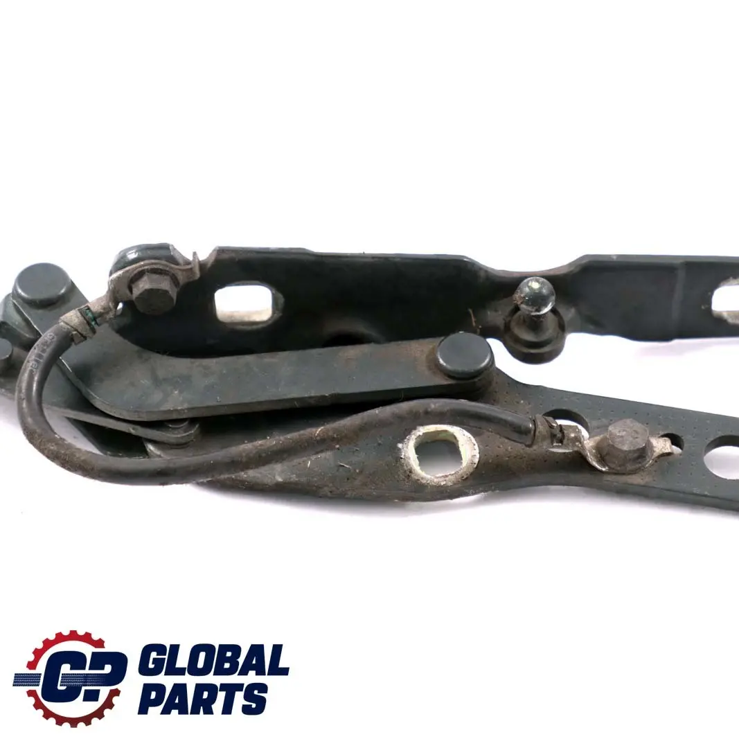 BMW E46 Charniere Rabat a Gauche Vert Oxford Vert Metallique - 430 - SKU 7028577-OXF - Numéro de pièce 7028577