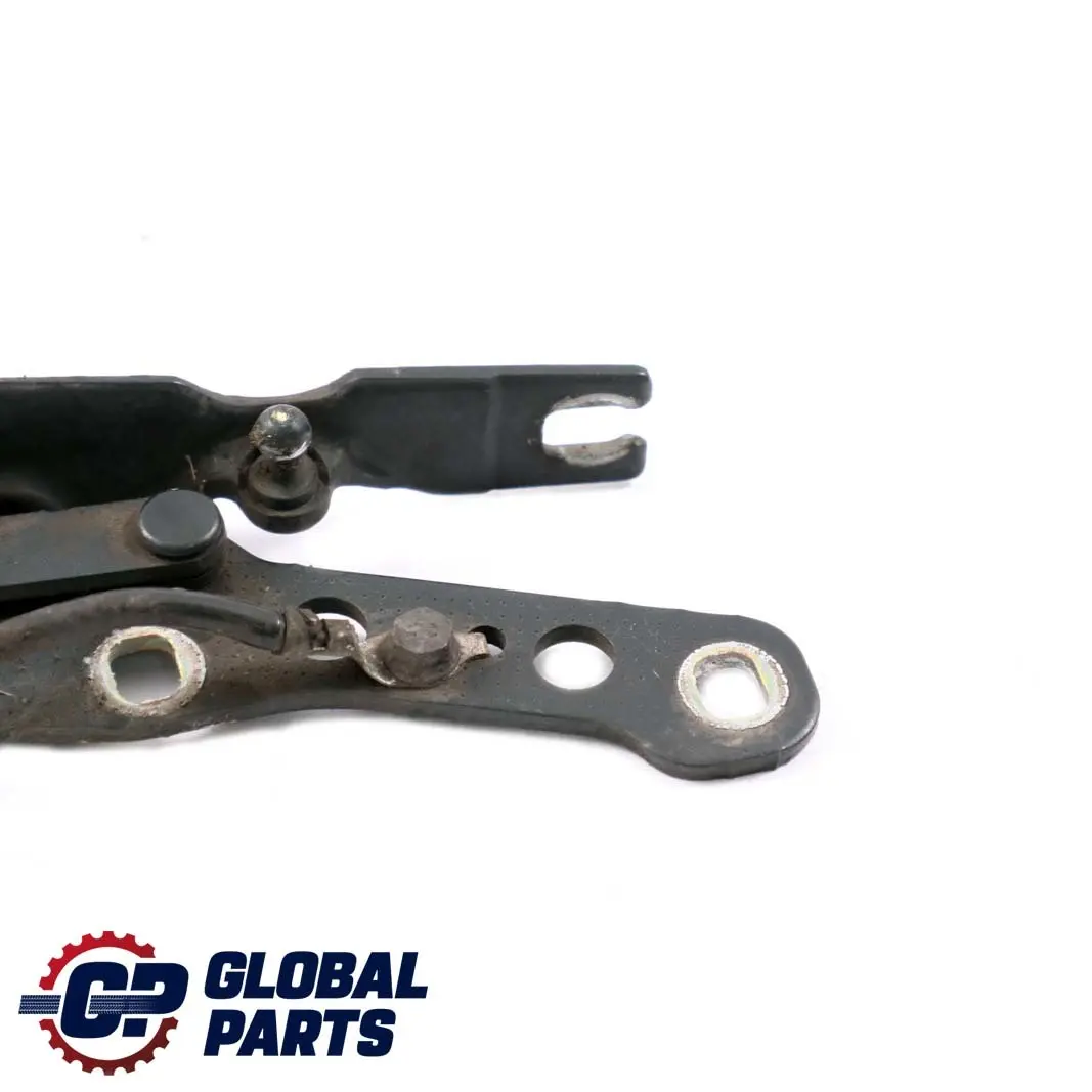 BMW E46 Motor Izquierdo Capo Bisagra Capo Oxfordgruen Verde - 430 - SKU 7028577-OXF - Número de pieza 7028577