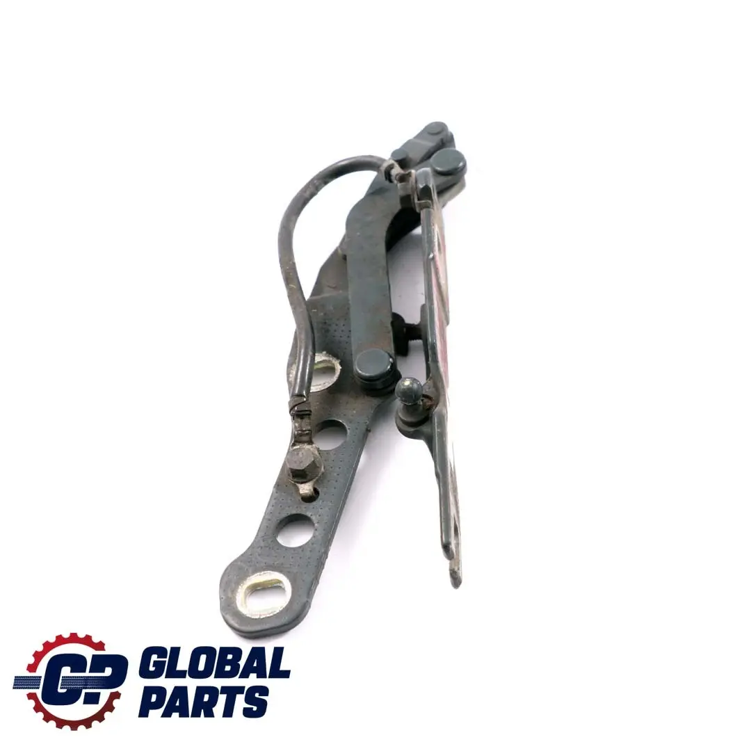 BMW E46 Motor Izquierdo Capo Bisagra Capo Oxfordgruen Verde - 430 - SKU 7028577-OXF - Número de pieza 7028577