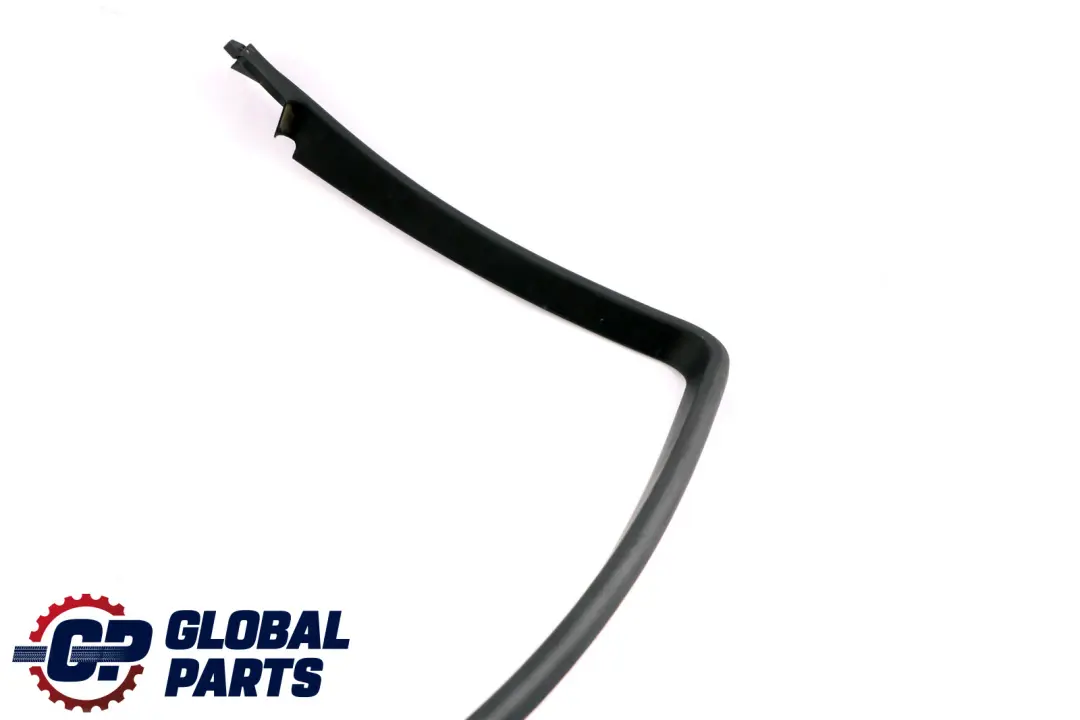 BMW E60 Revetement Chassis de Fenetre Porte Arriere Droite - SKU 7033648 - Numéro de pièce 7033648