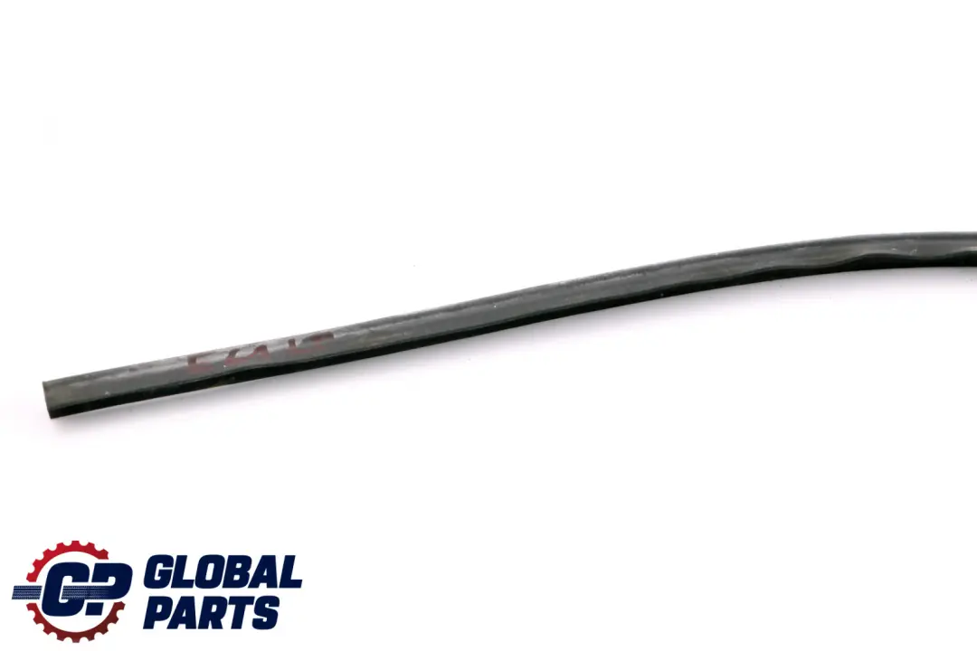 Puerta Junta Burlete Junta Delantera Izquierda para BMW E60 E61 LCI con número de pieza 7033789 BMW E60 E61 LCI Puerta Junta Burlete Junta Delantera Izquierda - SKU 7033789 - Número de pieza 7033789