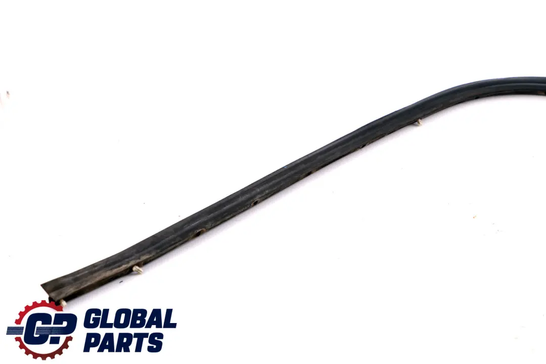 BMW 5 er E60 E60N E61 E61N Türdichtung, Dichtung, Türfuge Unten Hinten Links - SKU 7033797 - Teilenummer 51227033797