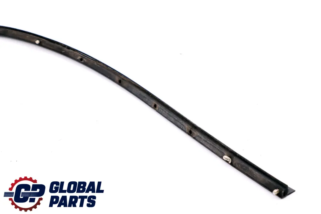 BMW 5 SERIES E60 E60N E61 E61N Gasket, door joint, bottom rear left N/S - SKU 7033797 - Part number 51227033797