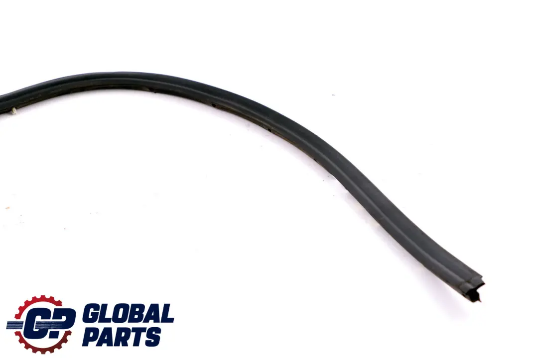 BMW 5 er E60 E60N E61 E61N Türdichtung, Dichtung, Türfuge Unten Hinten Links - SKU 7033797 - Teilenummer 51227033797