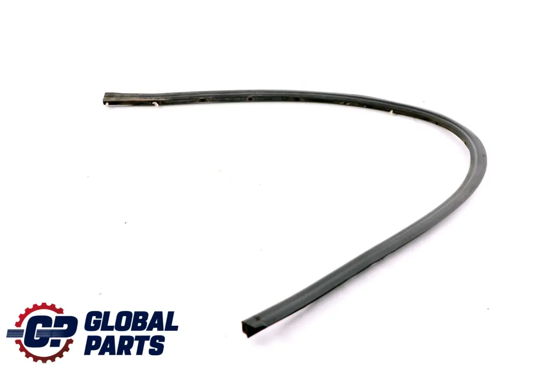 BMW 5 SERIES E60 E60N E61 E61N Gasket, door joint, bottom rear left N/S - SKU 7033797 - Part number 51227033797