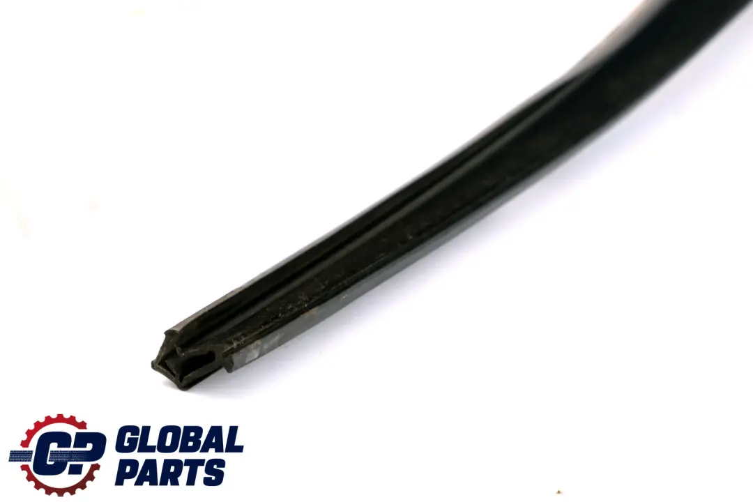 Guia Ventana Delantera Derecha Puerta para BMW E60 E60N E61 E61N LCI con número de pieza 51337033800 BMW E60 E60N E61 E61N LCI Guia Ventana Delantera Derecha Puerta - SKU 7033800 - Número de pieza 51337033800