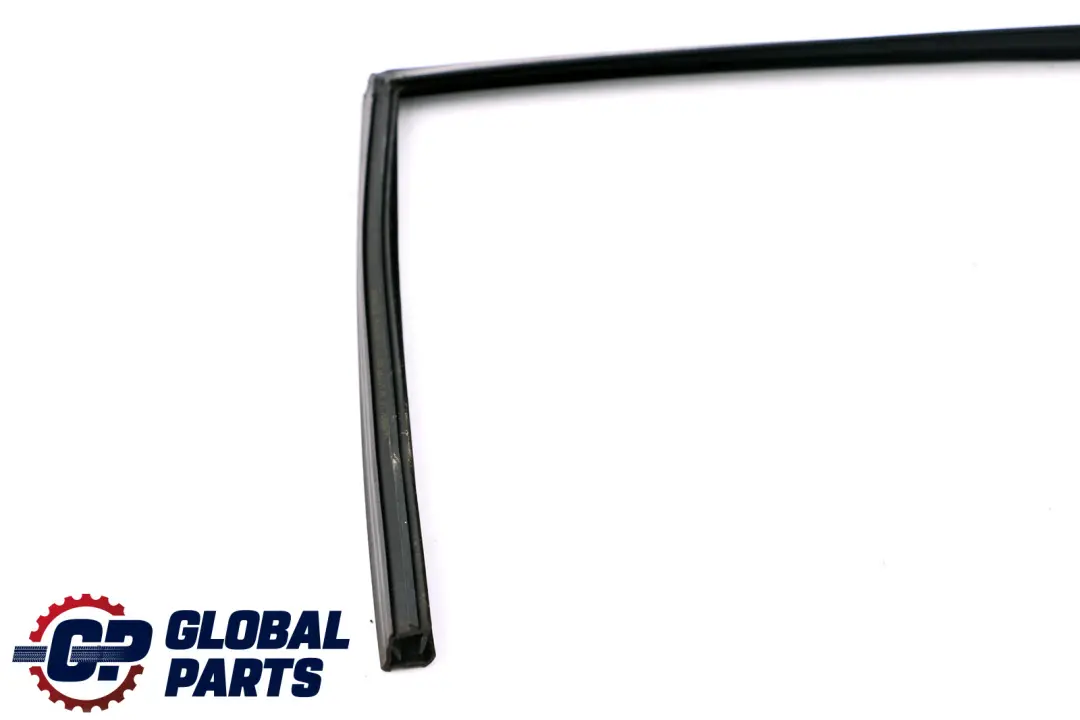 BMW E60 Window Guide Seal Rear Left N/S 5135 - SKU 7033805 - Part number 7033805