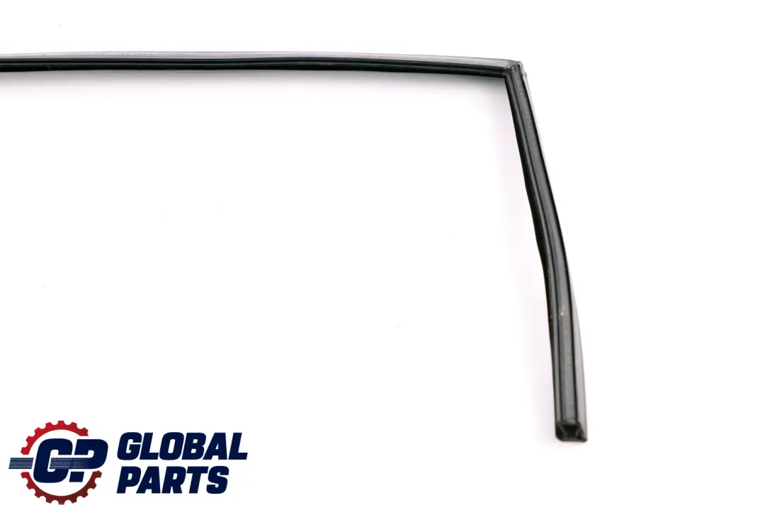 BMW E60 Rear Door Window Guide Seal Trim Right O/S - SKU 7033806 - Part number 7033806