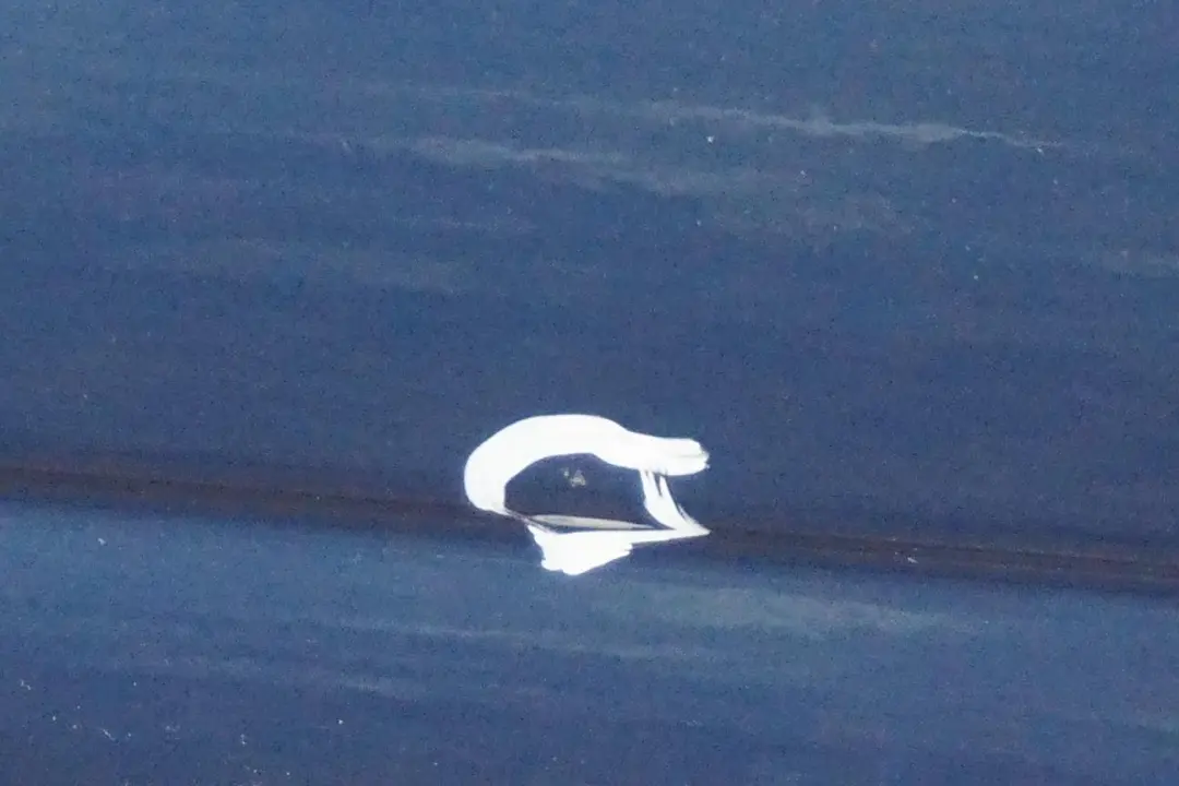 BMW 3 Reihe E46 Tür Vorne Links Topasblau Topas Blau Metallic - 896 - SKU 7034151-TPB - Teilenummer 7034151