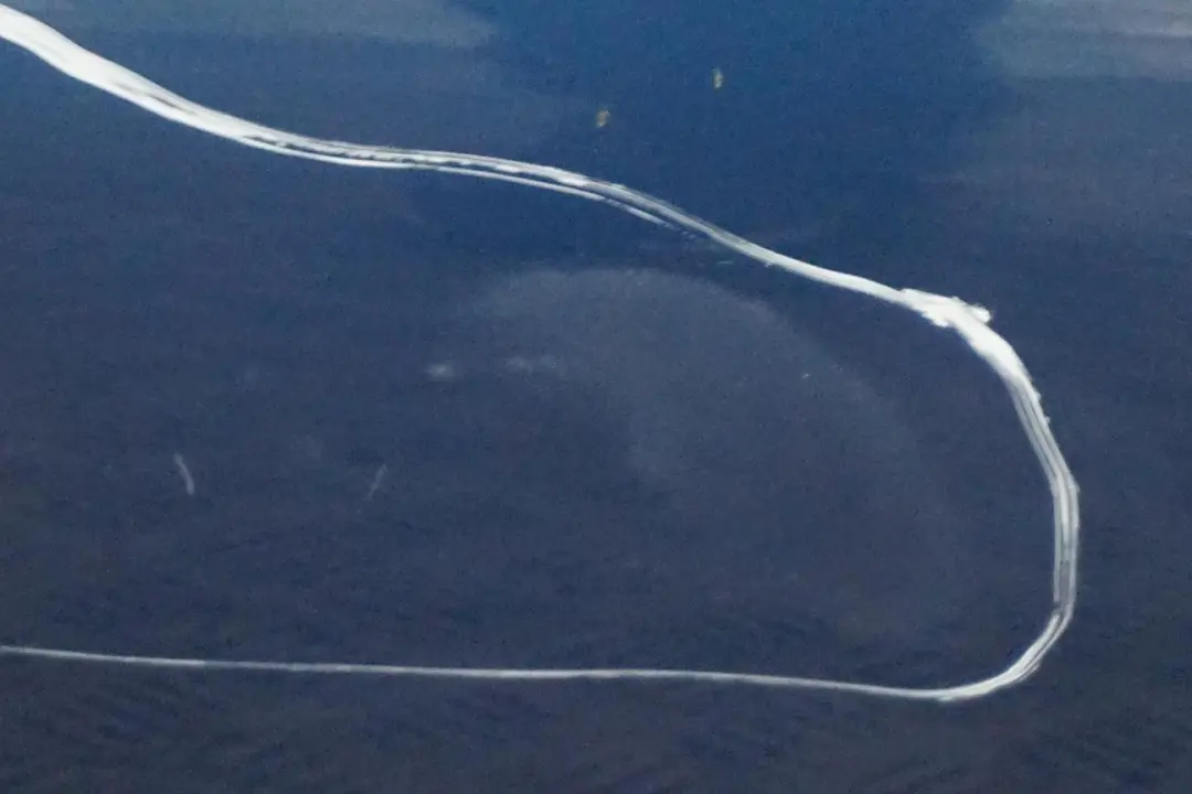 Drzwi lewe lewy tył Topasblau do BMW E46 o numerze 7034153 BMW E46 Drzwi lewe lewy tył Topasblau - SKU 7034153-TPB - Numer Części 7034153