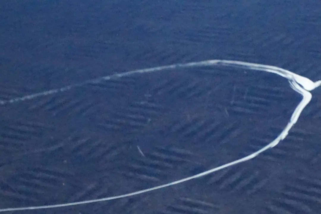 Puerta Trasera Izquierda Topasblau Topaz Azul Metalizado - 364 para BMW E46 con número de pieza 7034153 BMW E46 Puerta Trasera Izquierda Topasblau Topaz Azul Metalizado - 364 - SKU 7034153-TPB - Número de pieza 7034153