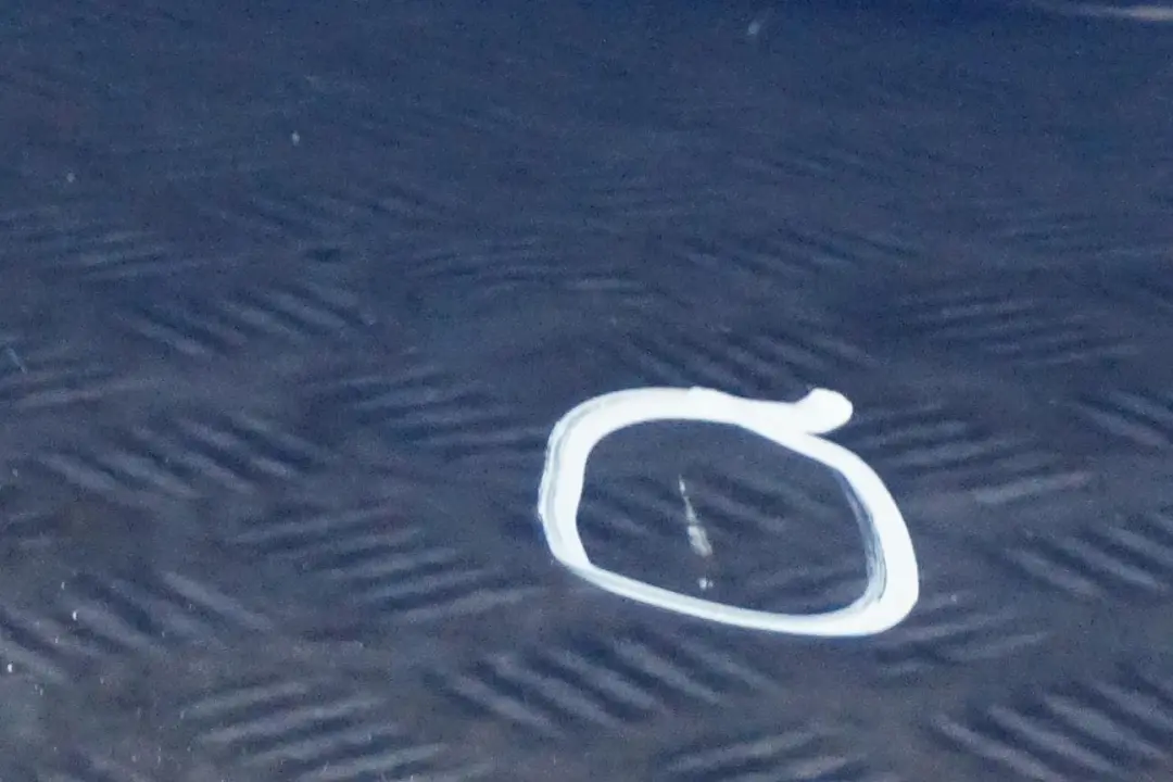 Door Rear Right O/S Topasblau Topaz Blue Metallic - 364 to BMW 3 Series E46 with Part number 7034154 BMW 3 Series E46 Door Rear Right O/S Topasblau Topaz Blue Metallic - 364 - SKU 7034154-TPB - Part number 7034154