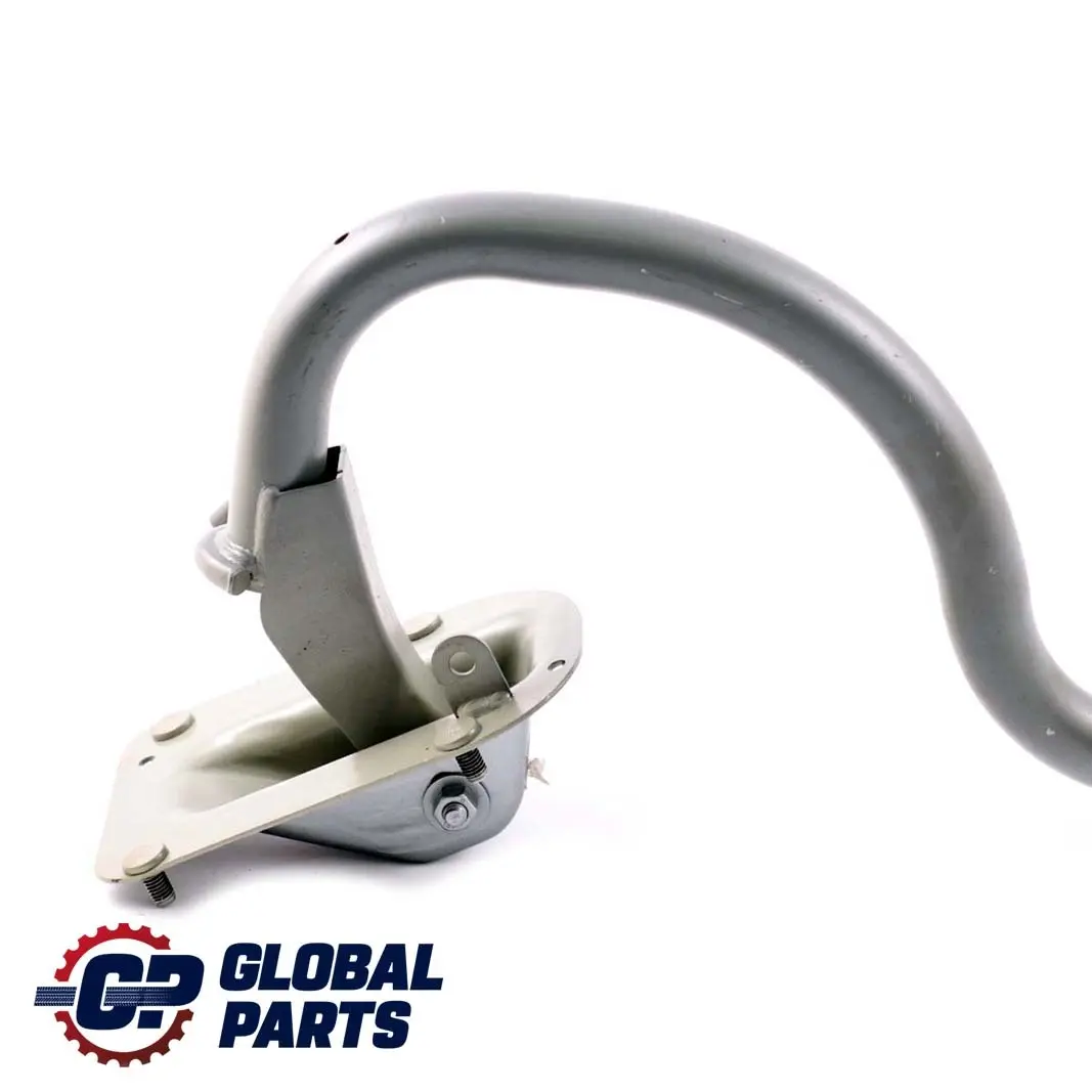 Cardine Portellone SX Grigio Argento Metallizzato A08 per BMW E60 LCI con numero di parte 7034245 BMW E60 LCI Cardine Portellone SX Grigio Argento Metallizzato A08 - SKU 7034245-SBG - Numero di parte 7034245