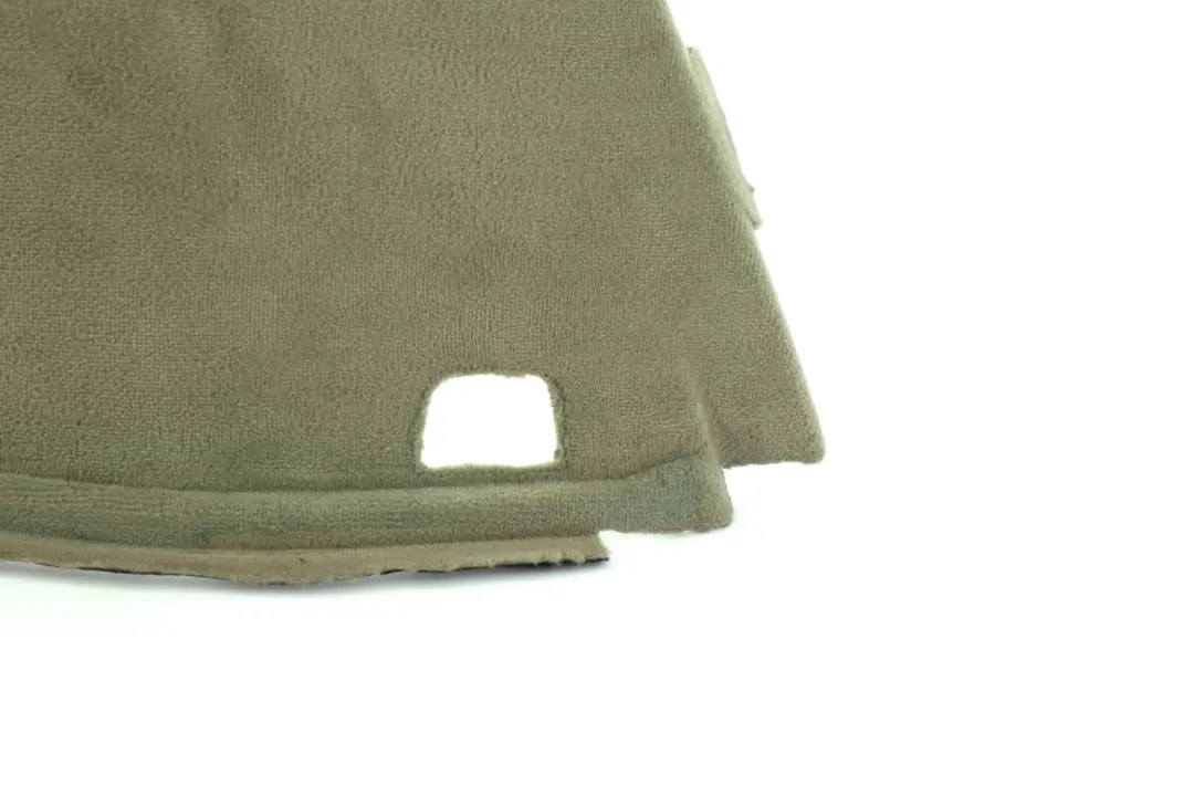 BMW X5 E53 Carenatura Portabagagli SX Verde Pastello 7034392 - SKU 7034399 - Numero di parte 7034399
