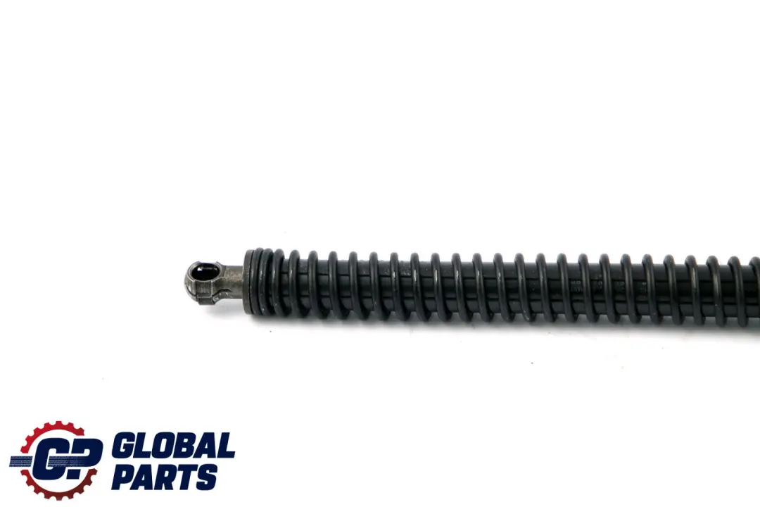 BMW 7 Series E65 E66 E67 Trunk Lid Springs Schock Strut Left N/S - SKU 7042104-1 - Part number 7042104