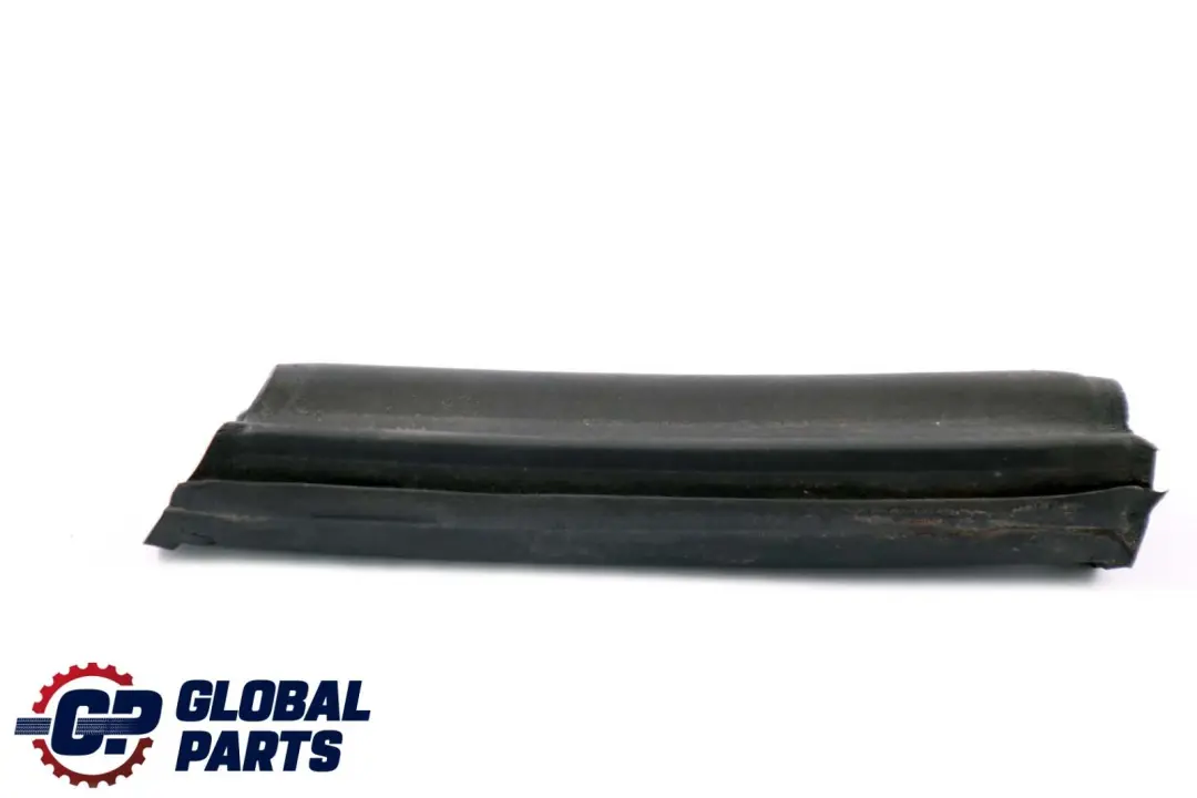 BMW Z4 Series E85 Front Channel Seal Window Guide Front Left Right Set Roof Top - SKU 7043891 - Part number 7043892