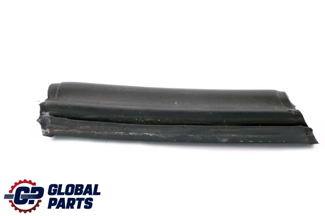 BMW Z4 Series E85 Front Channel Seal Window Guide Front Left Right Set Roof Top - SKU 7043891 - Part number 7043892