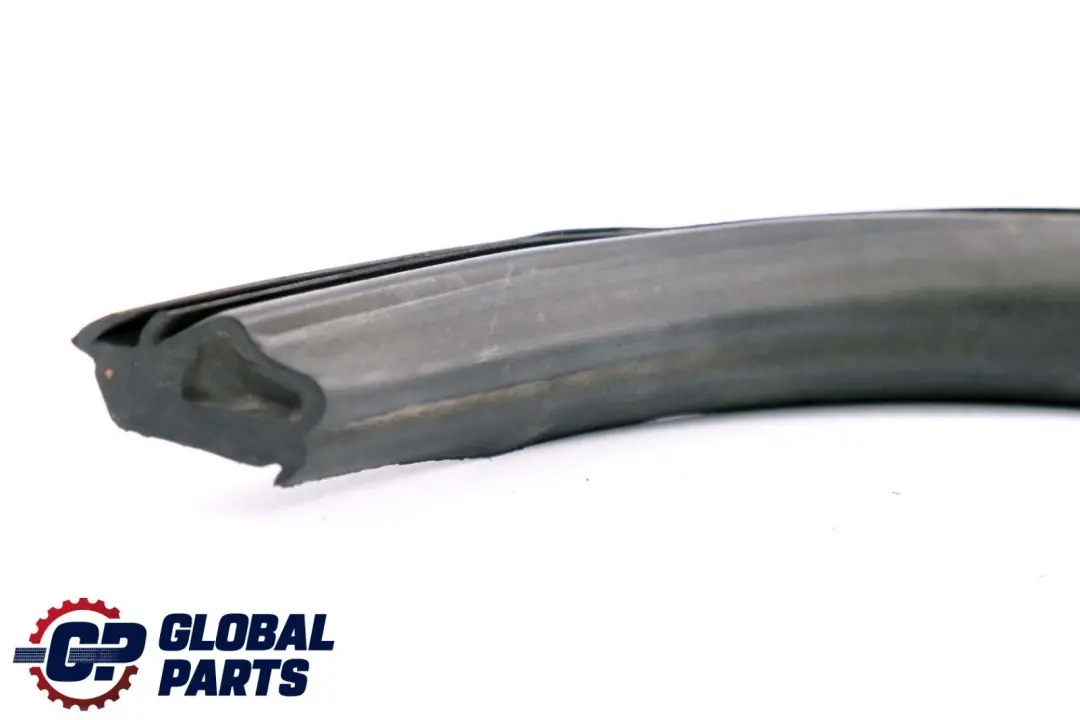 Guia Ventana Trasera Izquierda Sello Techo para BMW Z4 Serie E85 Roadster con número de pieza 7043897 BMW Z4 Serie E85 Roadster Guia Ventana Trasera Izquierda Sello Techo - SKU 7043897 - Número de pieza 7043897