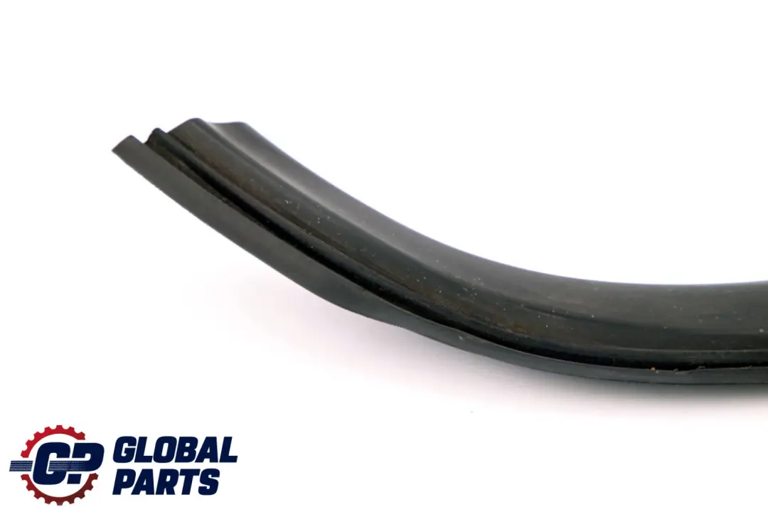 BMW Z4 Series E85 Window Guide Rear Right O/S Seal Roof Top - SKU 7043898 - Part number 7043898