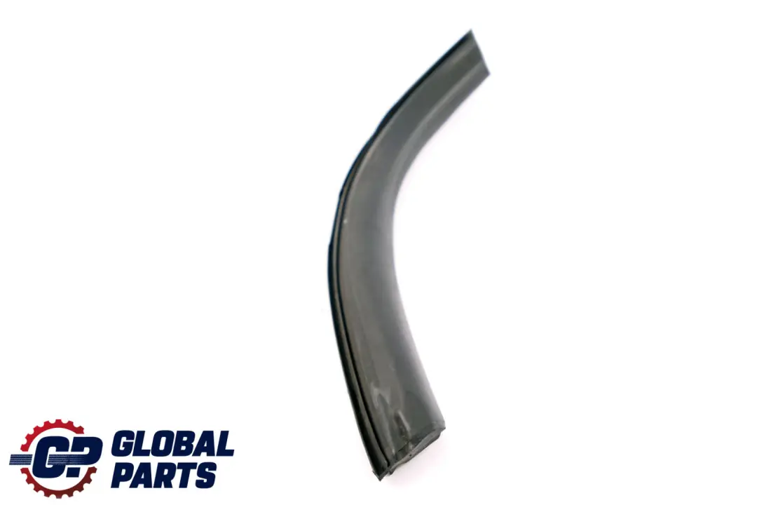 BMW Z4 Series E85 Window Guide Rear Right O/S Seal Roof Top - SKU 7043898 - Part number 7043898