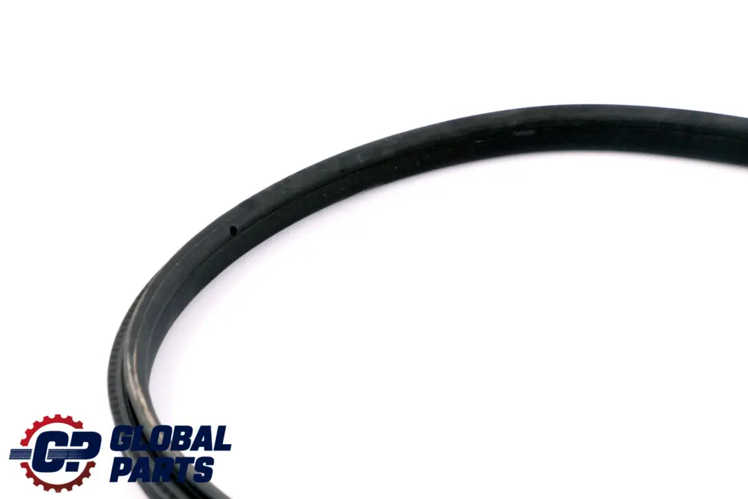 BMW Z4 E89 Puerta Sello Protección Borde Junta Delantera Izquierda - SKU 7046101 - Número de pieza 7046101