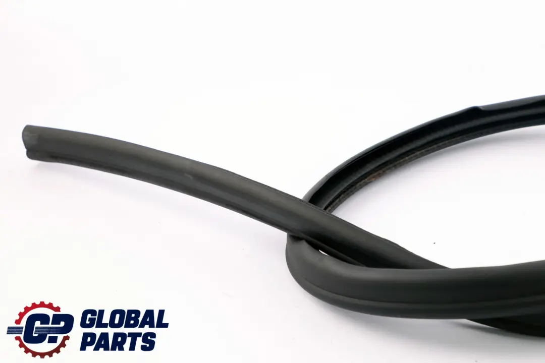 BMW Z4 E89 Guarnizione Porta Bordo Anteriore Destro Protezione - SKU 7046102 - Numero di parte 7046102