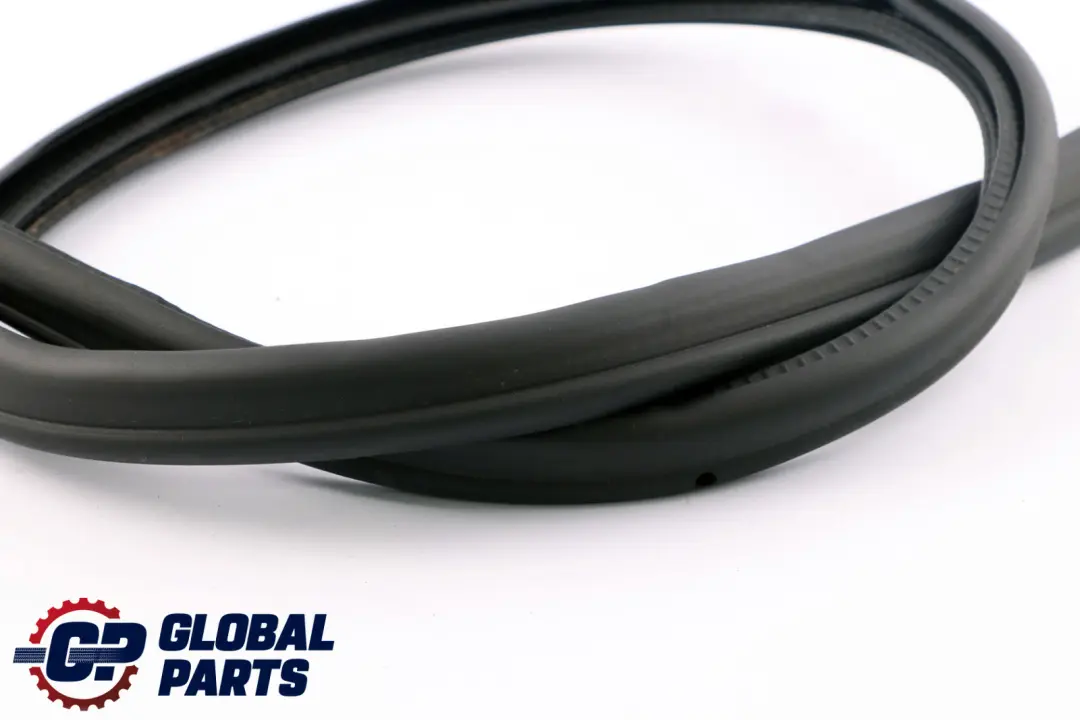 BMW Z4 E89 Guarnizione Porta Bordo Anteriore Destro Protezione - SKU 7046102 - Numero di parte 7046102