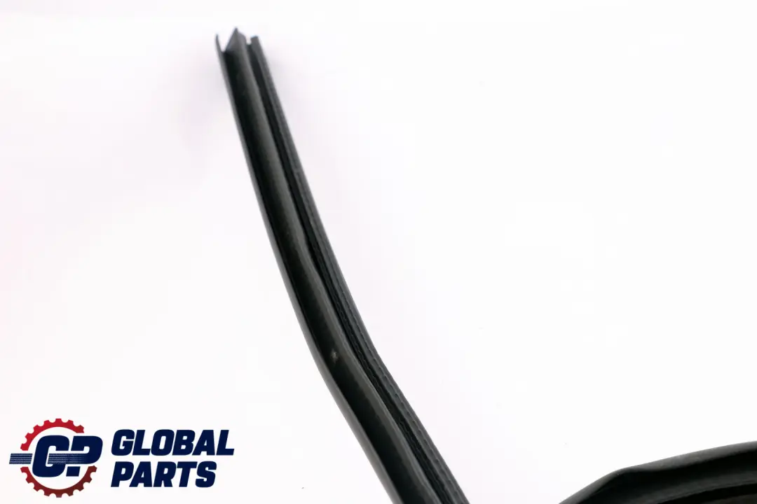 BMW Z4 E89 Guarnizione Porta Bordo Anteriore Destro Protezione - SKU 7046102 - Numero di parte 7046102