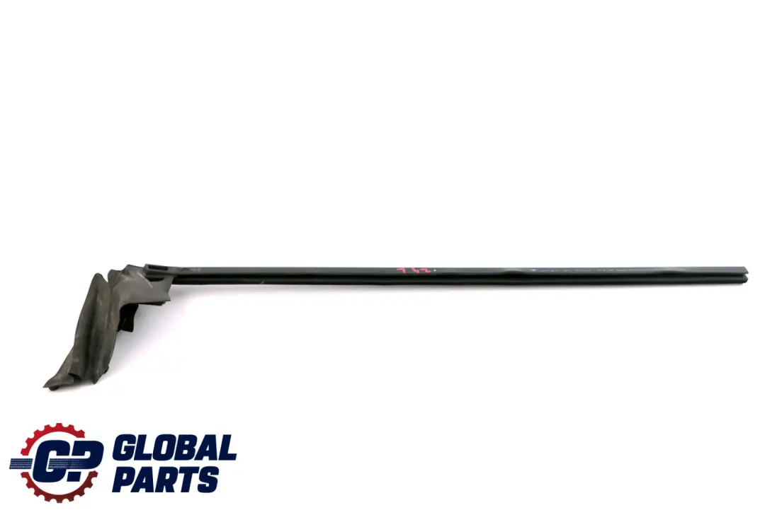 Canale Guarnizione tenuta Guarnizione interna porta sinistra per BMW Z4 E89 con numero di parte 7046103 BMW Z4 E89 Canale Guarnizione tenuta Guarnizione interna porta sinistra - SKU 7046103 - Numero di parte 7046103