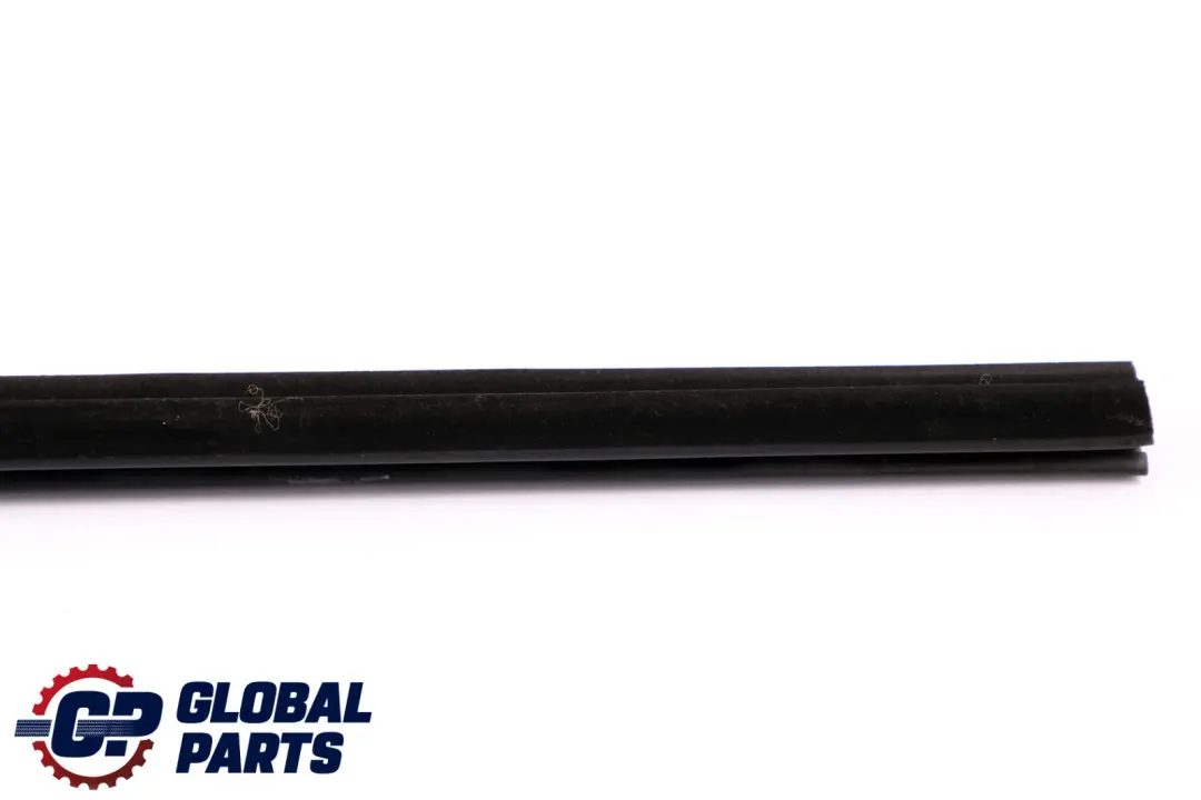 BMW Z4 E89 Schachtabdichtung Interno Porta Anteriore Destra - SKU 7046104 - Numero di parte 7046104