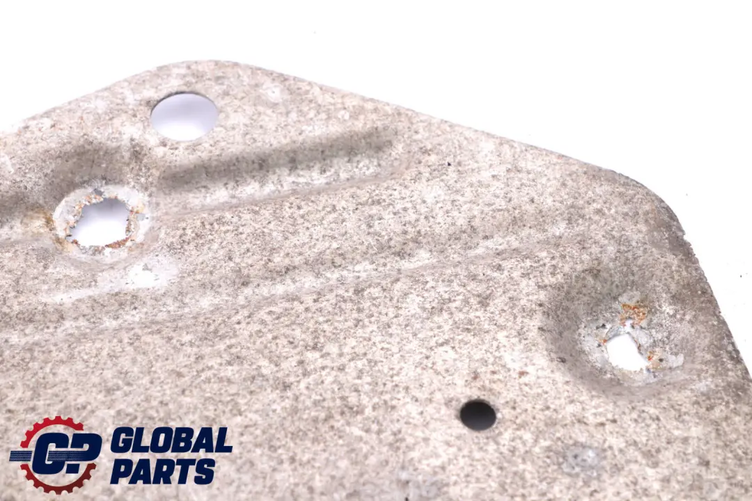 BMW Z4 Series E85 E86 Roadster Coupé Petrol Heat Resistant Plate - SKU 7047808 - Part number 7047808